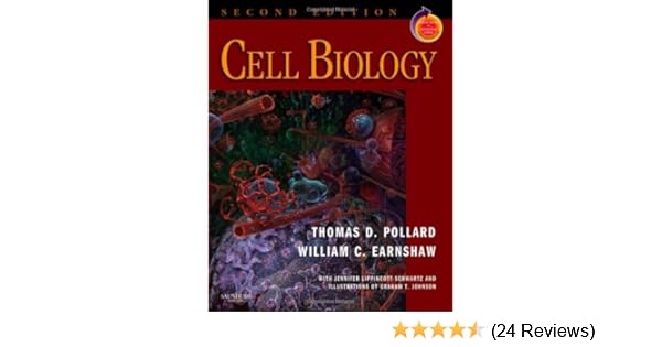 Покупки по категориям